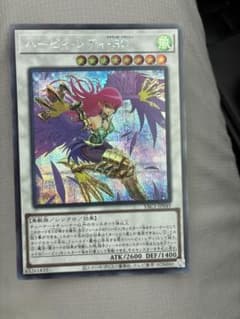 【遊戯王】ハーピィ・レディ・SCのサムネイル