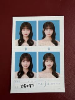 seju 証明写真 古園井寧々のサムネイル