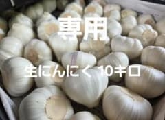 ロボコン　生にんにく10キロ ロボコン様 専用 生にんにく10キロ - メルカリ