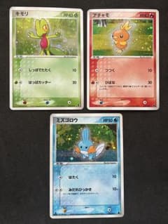 ポケモンカード キモリ アチャモ ミズゴロウ キラ スターター デッキ R*Y様 ポケモンカード キモリ アチャモ ミズゴロウ キラ スターター