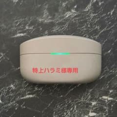 SONY WF-1000XM4 (充電ケース+左耳)　ソニーのサムネイル