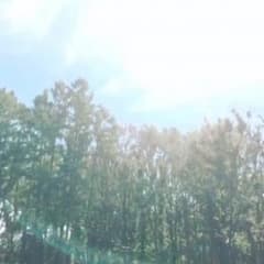 sheiver様 専用のサムネイル
