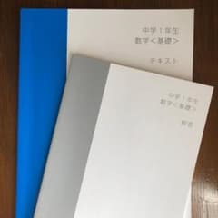 スタディサプリ 中学1年生 数学 - 基礎 2020年度版のサムネイル