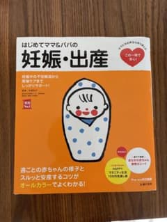 はじめてママ&パパの妊娠・出産 : 妊娠中の不安解消から産後ケアまでこの一冊で…のサムネイル