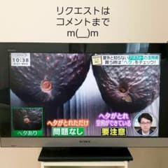 SONY BRAVIAのサムネイル
