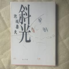 斜光 泡坂妻夫 角川文庫 初版本 - メルカリ
