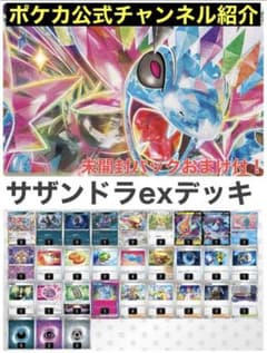 新品未開封　ポケモンカードゲーム サザンドラデッキ30 ジガルデEX BW】サザンドラデッキ30 – 晴れる屋2
