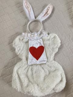 【ハロウィン】うさぎのコスプレ♡のサムネイル