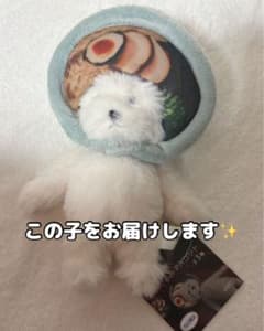 犬記録 ぬいぐるみ マスコット ラーメン モーリーファンタジー m86614638374_1.jpg?1769154969