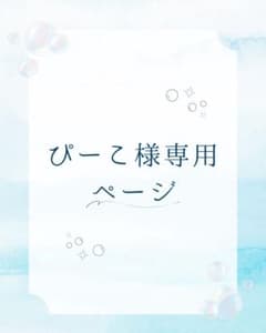 ぴーこ様専用ページのサムネイル