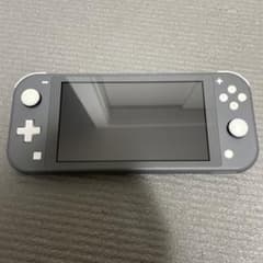 プロフ必読 ニンテンドースイッチライト switch lite グレー 本体のみ