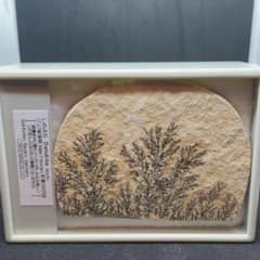 m83016261076_1.jpg?1731649355