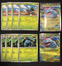 ポケモンカード フシギダネ フシギソウ メガフシギバナEX 進化ライン
