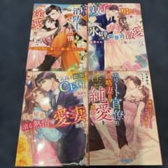 ベリーズ文庫 恋愛小説 4冊セット - メルカリ