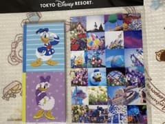 【値下げ】ディズニーリゾート　メモ用紙メモ帳ポストカード　ドナルド　デイジーのサムネイル