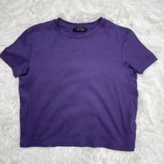 Bershka Ribbed Short-Sleeve Cut-and-Sew T-Shirt, Purple, Size M