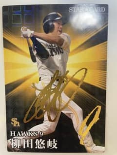 プロ野球チップス 柳田悠岐 サインカードのサムネイル