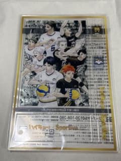 最終価格！【新品】ハイキュー!! ×Sportiva スペシャルアクリルパネルのサムネイル
