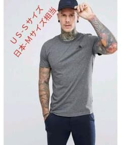 ノースフェイス　Tシャツ　海外企画のサムネイル
