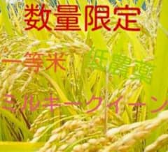 令和7年産！ミルキークイーン10kg！のサムネイル