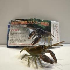 d*9様 原色甲殻類エビ・カニ図鑑I フィギュア ヤドカリ ザリガニ シークレッ 原色甲殻類エビ・カニ図鑑 シークレット ニホンザリガニ - メルカリ