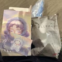 Pop mart SKULLPANDA ぬいぐるみ・マスコットのサムネイル