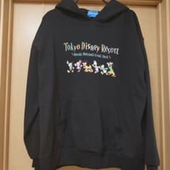 Tokyo Disney Resort Unisex Hoodie, Size M (1 piece)