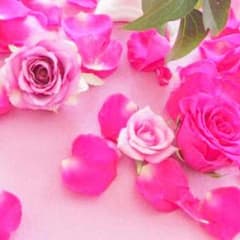 あやか様 専用のサムネイル