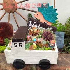 ☆多肉植物 寄せ植え〜手作り木製 ハリネズミちゃんトラック寄せ