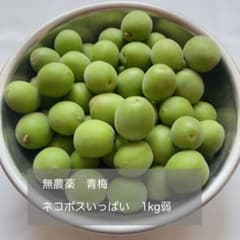【無農薬】青梅　約1kg（箱込み）のサムネイル
