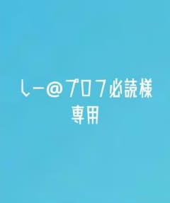 しー@プロフ必読様専用のサムネイル