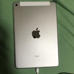 iPad mini 4のサムネイル