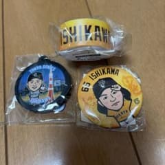 読売ジャイアンツ 石川達也のサムネイル