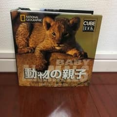 動物の親子 ナショナルジオグラフィック/アンジェラ・セレナ・イルドス, 藤井留美のサムネイル