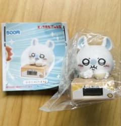モモンガ　いっしょにがんばろ！ダンボールウォッチ2のサムネイル