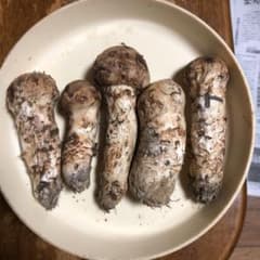 BsTabbyさま専用　長野県信州産　国産松茸　160g BsTabbyさま専用 長野県信州産 国産松茸 160g - メルカリ