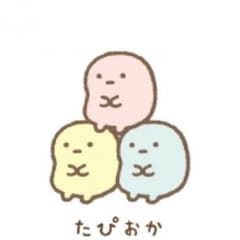 TKTさん専用 ニセコイ 22、23巻のサムネイル