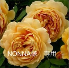 NONNA様専用ページのサムネイル