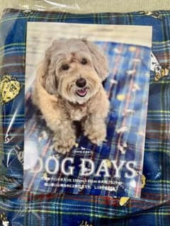DOGDEPTドッグデプトDOGDAYS大型ブランケットブルー！のサムネイル
