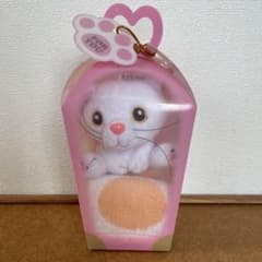 고양이 마스코트 & 미니 타월 세트 선물 상자 들어간 흰색 고양이 육구 태그 포함