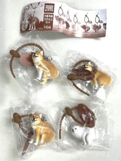 タカラトミーアーツ ふんばりーぬ フィギュア 4点セット　柴犬　ポメラニアンのサムネイル