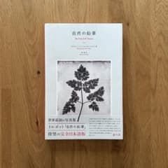 自然の鉛筆 トルボット 赤々舎 写真集 写真史 畠山直哉 自然の鉛筆 トルボット 赤々舎 写真集 写真史 畠山直哉 - メルカリ