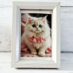 ピンクワンピースふわふわペルシャ猫 」イラスト 写真 オリジナル
