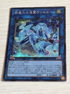 遊戯王 絢嵐たる海霊ヴァルルーン シークレット - メルカリ