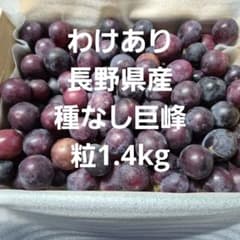 わけあり長野県産種なし巨峰粒1.4kgのサムネイル