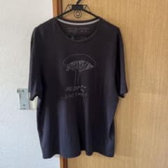 パタゴニア　Tシャツ　サイズXLのサムネイル