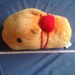 カピバラさん タグ付きのサムネイル