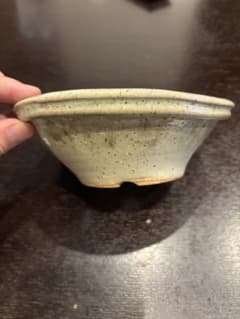 48 和鉢 竹鳳 2鉢セット 48 和鉢 竹鳳 2鉢セット - メルカリ