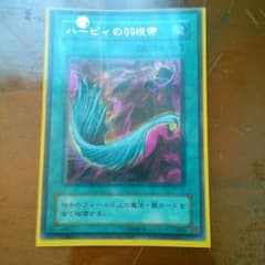 ハーピィの羽根箒のサムネイル