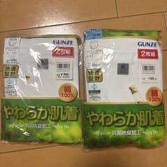 GUNZE やわらか肌着 天引きブリーフ 2枚組 Mサイズのサムネイル
